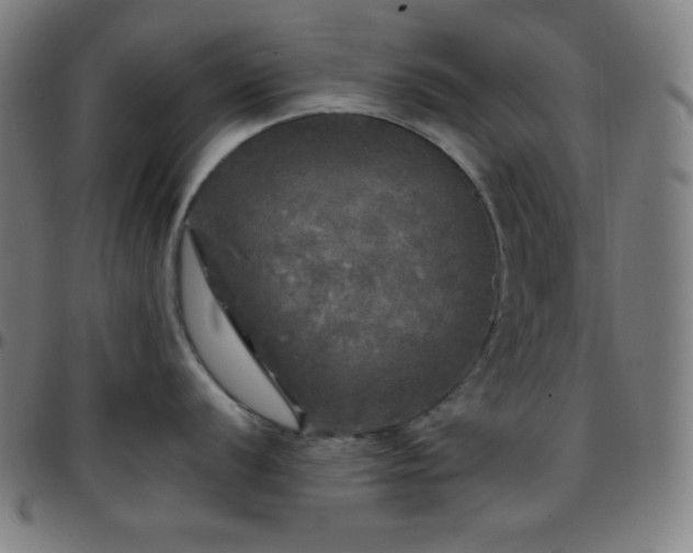 X0000097791056200803071408