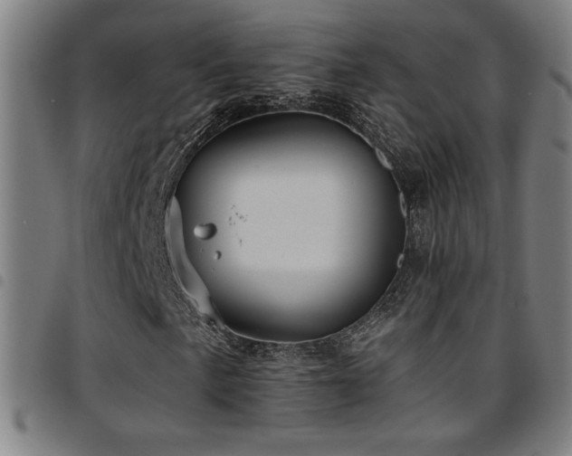 X0000097791057200803071407