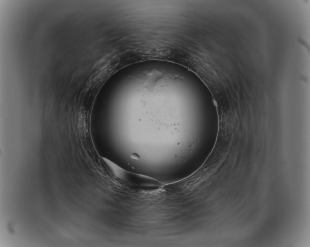 X0000097791058200803071407