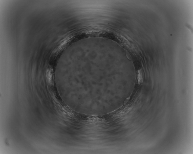 X0000097791059200803071407