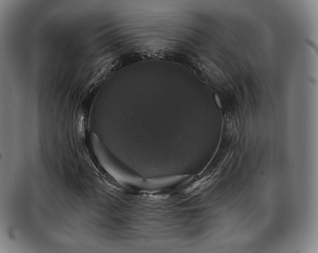 X0000097791060200803071407