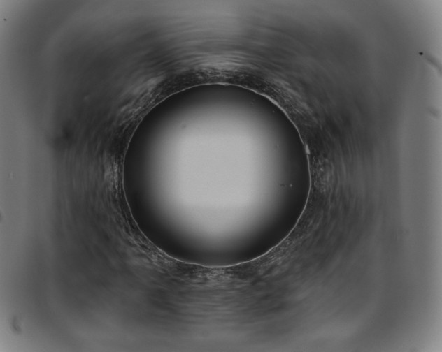 X0000097791061200803071407