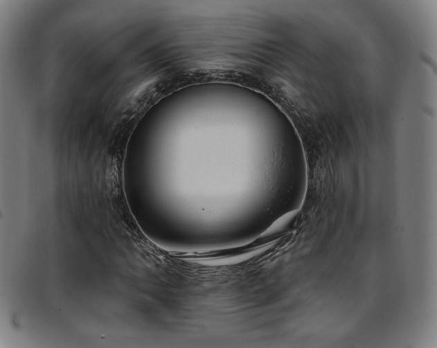 X0000097791062200803071407