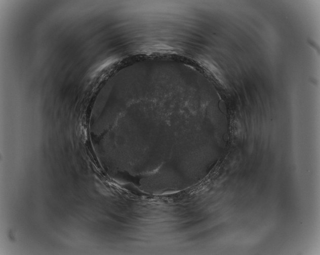 X0000097791063200803071407