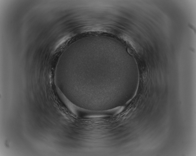 X0000097791064200803071407