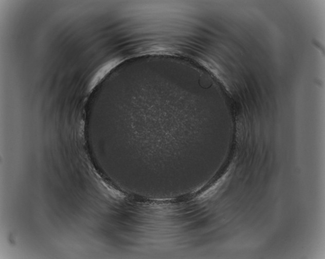 X0000097791066200803071407