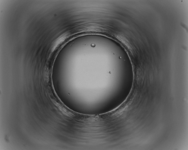 X0000097791067200803071407