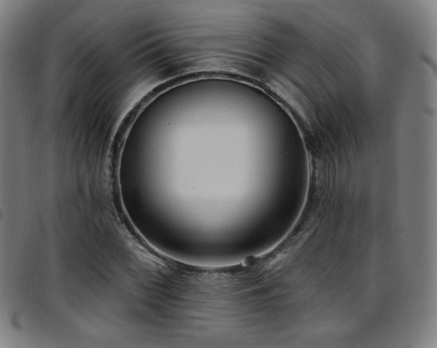 X0000097791068200803071407