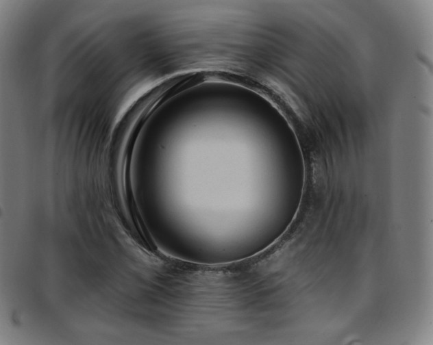 X0000097791069200803071407