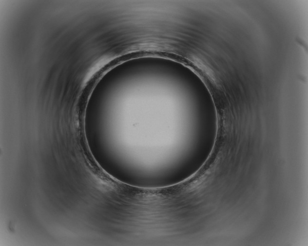 X0000097791070200803071407