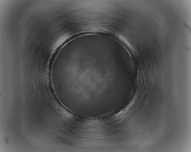 X0000097791071200803071407