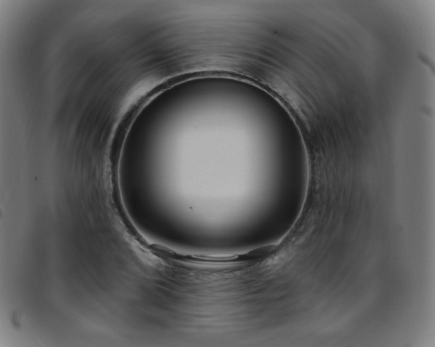 X0000097791072200803071407