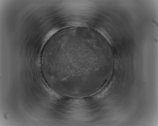 X0000097791074200803071407
