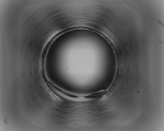 X0000097791076200803071407