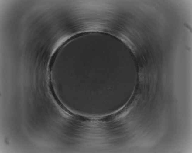 X0000097791077200803071407