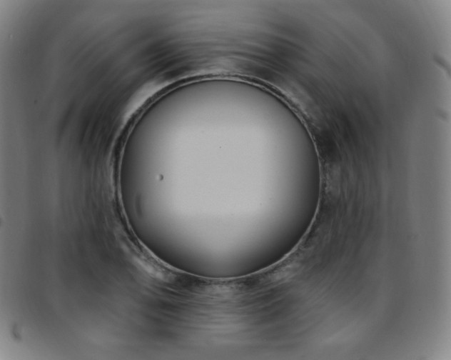 X0000097791078200803071407