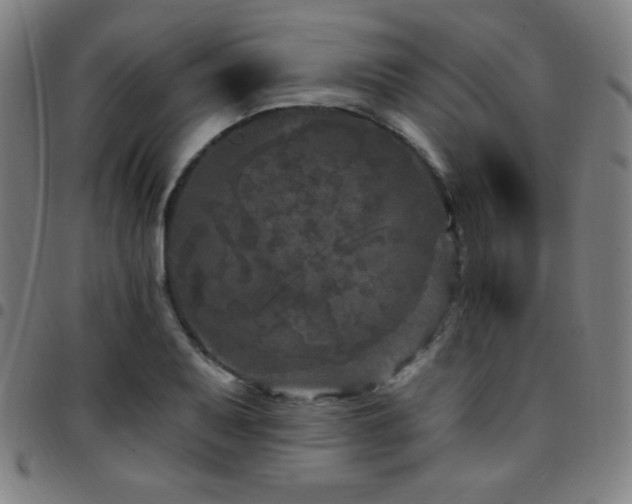 X0000097791079200803071407