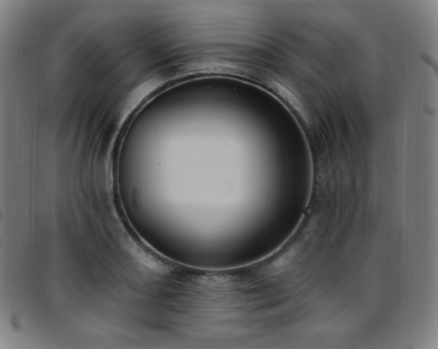X0000097791082200803071407