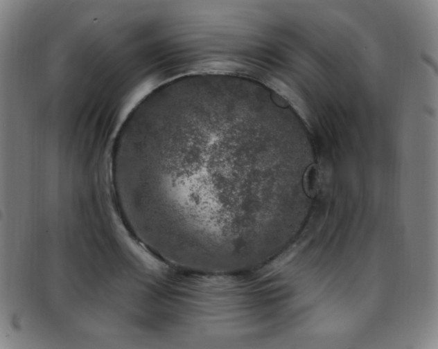 X0000097791083200803071407
