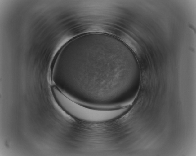 X0000097791084200803071407