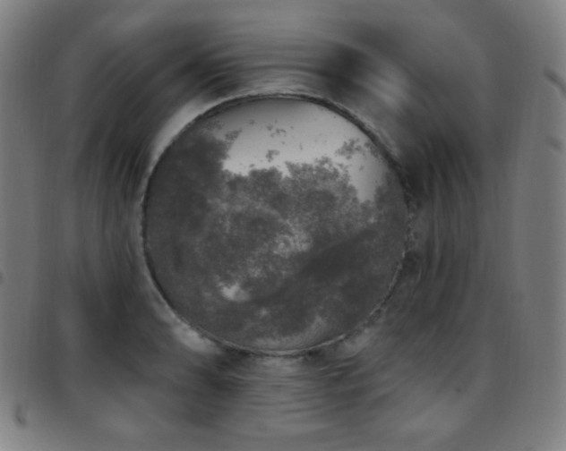 X0000097791086200803071407