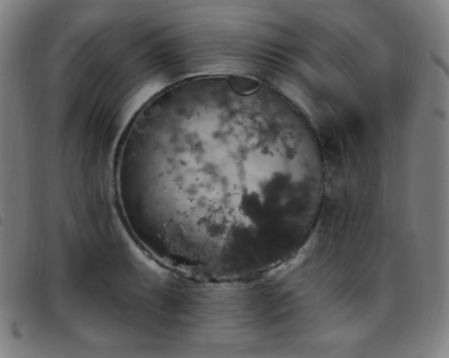 X0000097791087200803071407