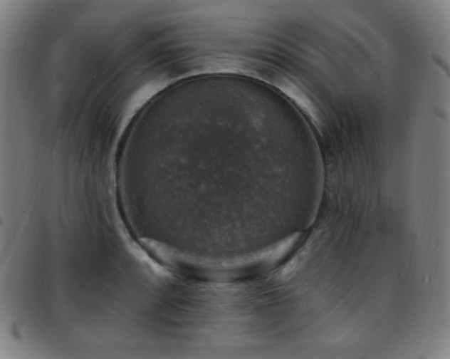 X0000097791088200803071407