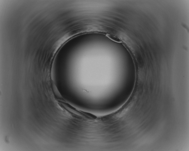 X0000097791089200803071407