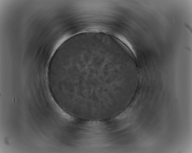 X0000097791091200803071407