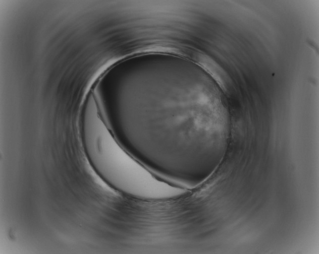 X0000097791092200803071407