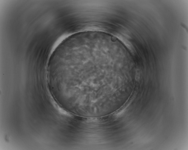 X0000097791094200803071407