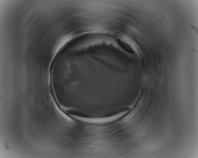 X0000097791095200803071407