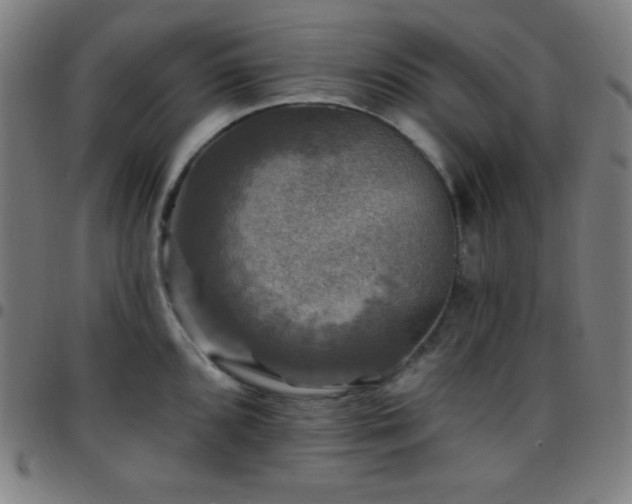 X0000097791096200803071407
