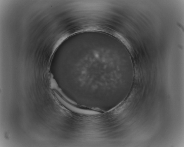 X0000097791097200803071407