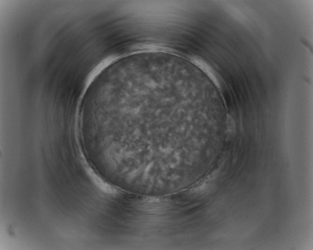X0000097791098200803071407