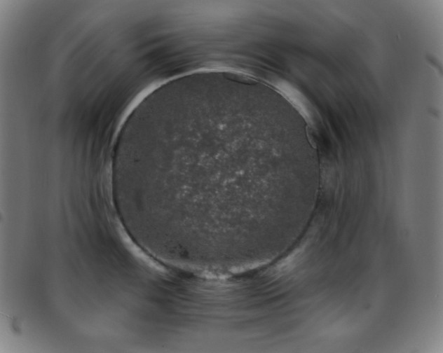 X0000097791100200803071407