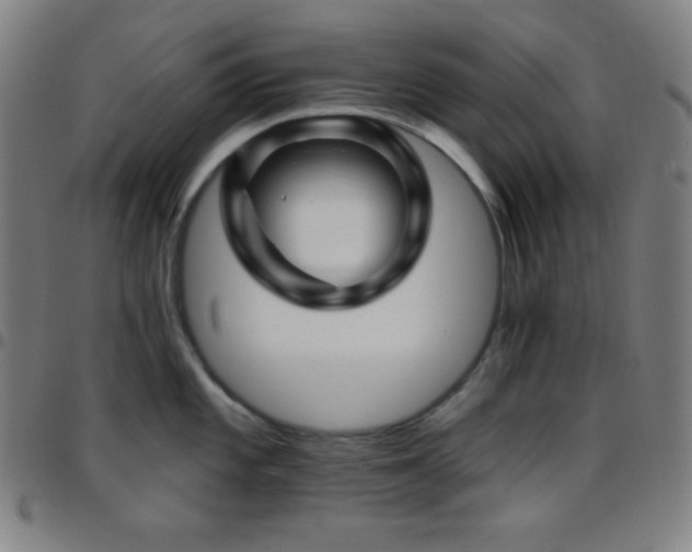 X0000097791101200803071407