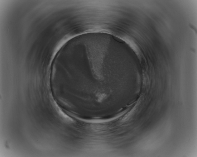 X0000097791102200803071407