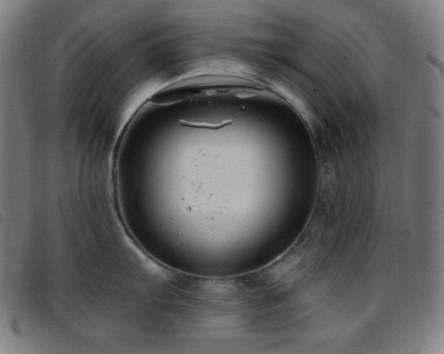 X0000097791103200803071407