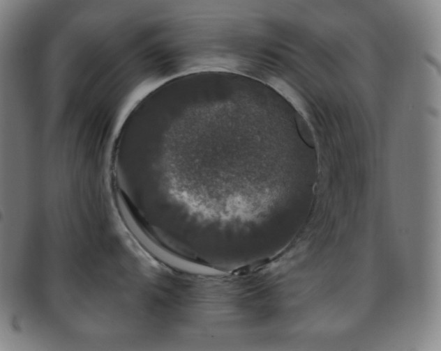 X0000097791104200803071406