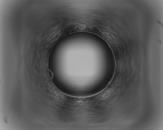 X0000097791105200803071406