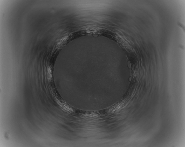 X0000097791106200803071406