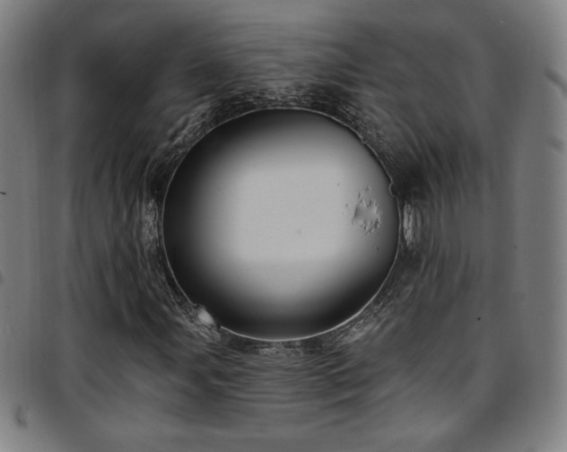 X0000097791107200803071406