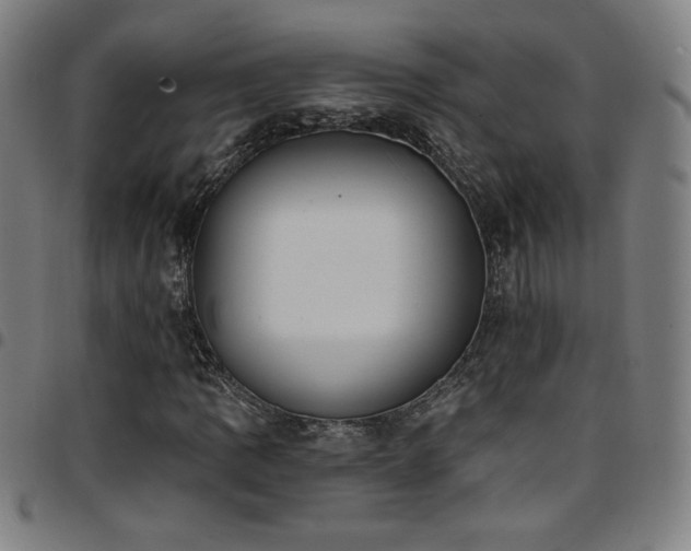 X0000097791109200803071406