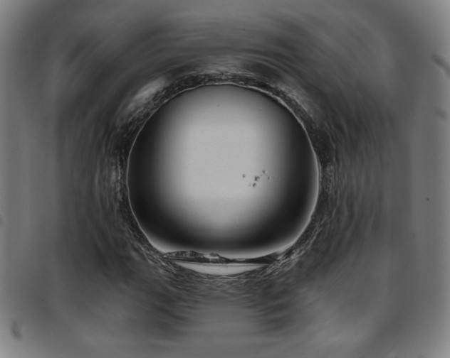 X0000097791111200803071406