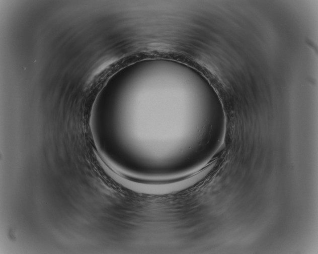 X0000097791112200803071406