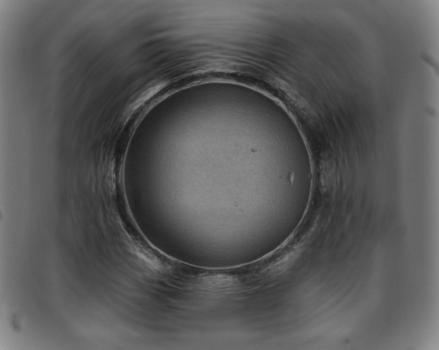 X0000097791113200803071406