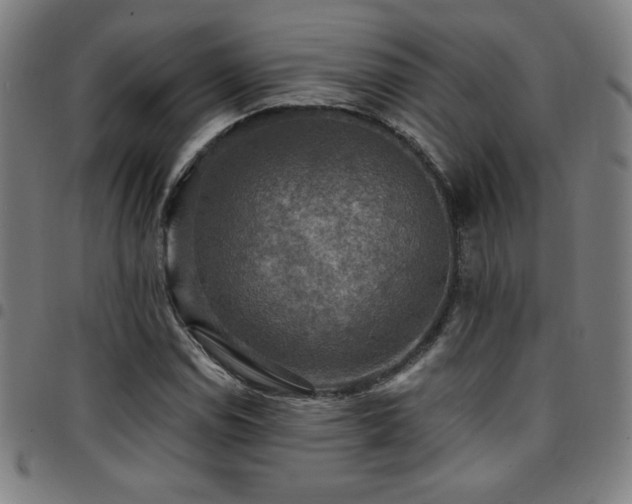X0000097791114200803071406