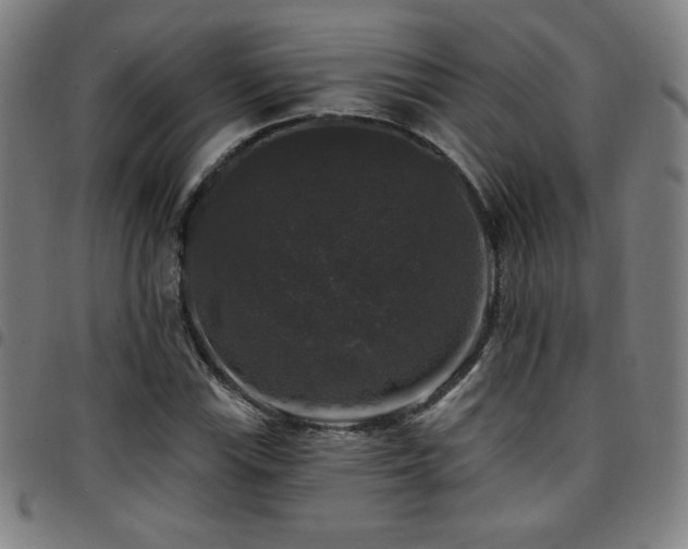 X0000097791115200803071406