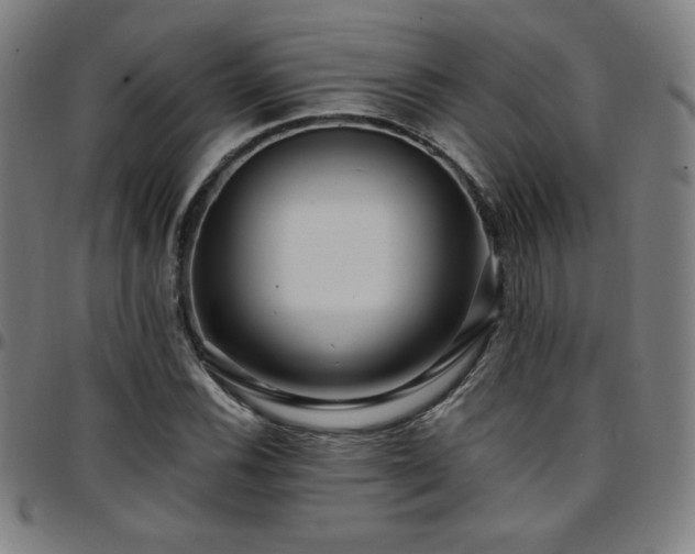 X0000097791116200803071406